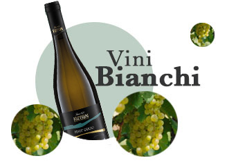 Vini bianchi
