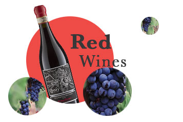 Red wines