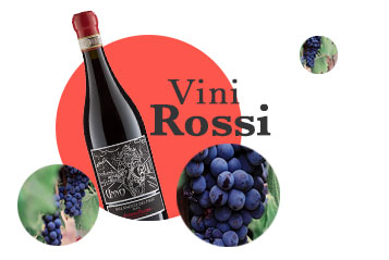 Vini rossi